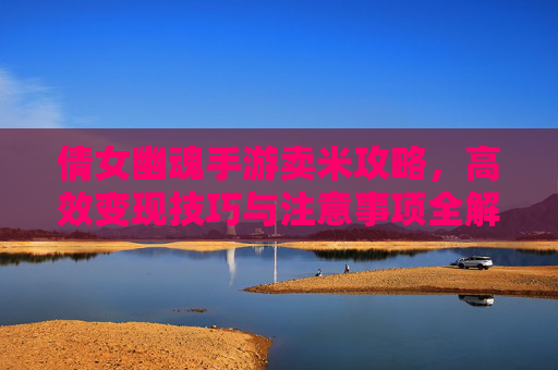 倩女幽魂手游卖米攻略，高效变现技巧与注意事项全解析，倩女幽魂手游卖米攻略，高效变现技巧与注意事项全解析