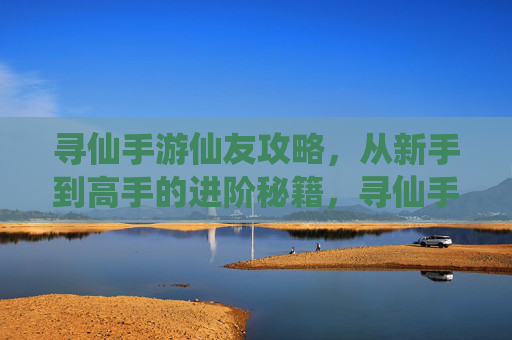 寻仙手游仙友攻略，从新手到高手的进阶秘籍，寻仙手游仙友攻略，从新手到高手的进阶秘籍
