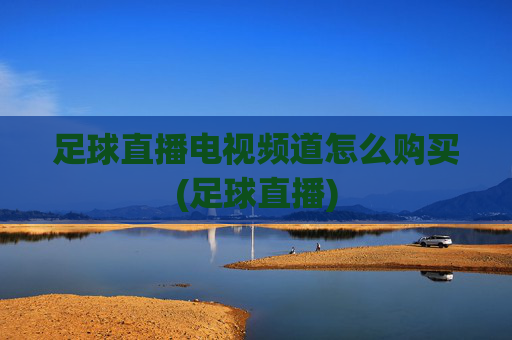 足球直播电视频道怎么购买(足球直播)