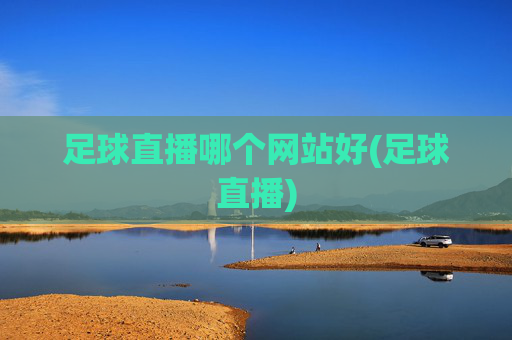 足球直播哪个网站好(足球直播)