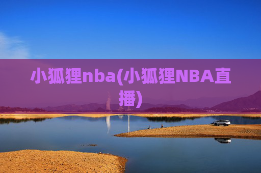 小狐狸nba(小狐狸NBA直播)