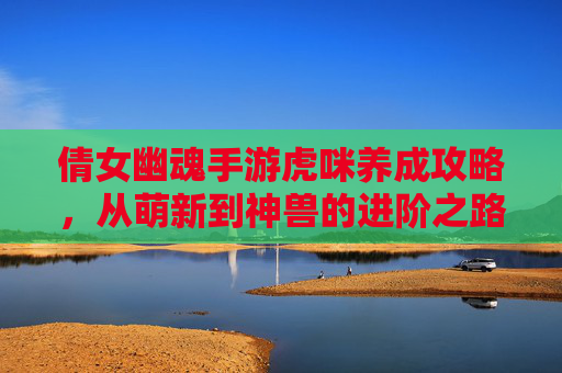 倩女幽魂手游虎咪养成攻略，从萌新到神兽的进阶之路