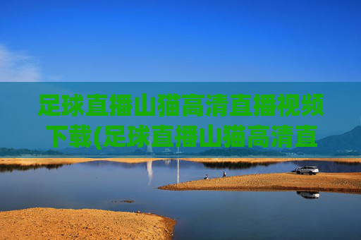 足球直播山猫高清直播视频下载(足球直播山猫高清直播视频下载安装)