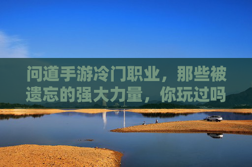 问道手游冷门职业，那些被遗忘的强大力量，你玩过吗？