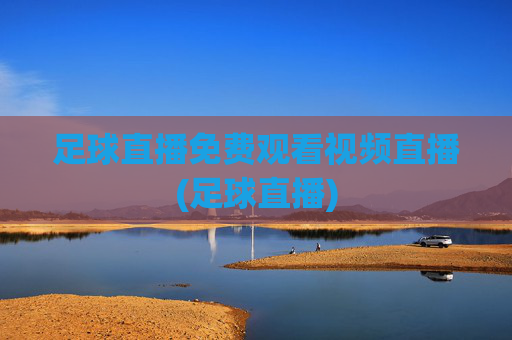 足球直播免费观看视频直播(足球直播)