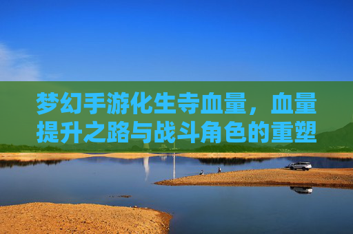梦幻手游化生寺血量，血量提升之路与战斗角色的重塑，梦幻手游化生寺血量提升之路与战斗角色重塑
