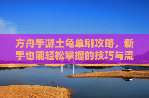 方舟手游土龟单刷攻略,新手也能轻松掌握的技巧与流程解析