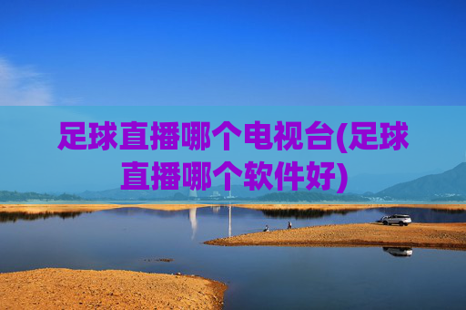 足球直播哪个电视台(足球直播哪个软件好)