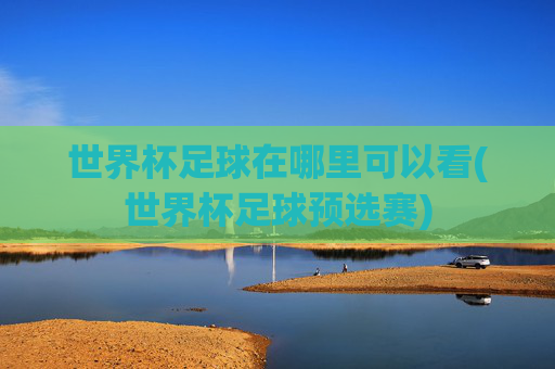 世界杯足球在哪里可以看(世界杯足球预选赛)