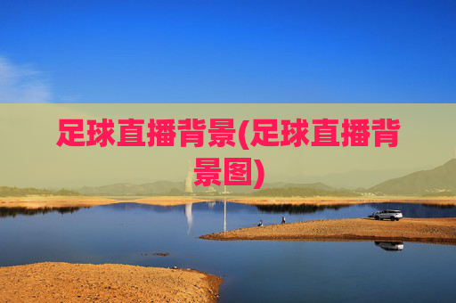 足球直播背景(足球直播背景图)