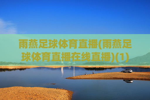 雨燕足球体育直播(雨燕足球体育直播在线直播)(1)