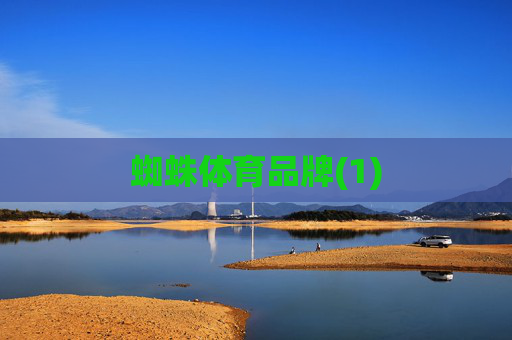 蜘蛛体育品牌(1)