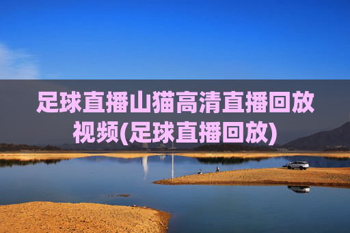 足球直播山猫高清直播回放视频(足球直播回放)