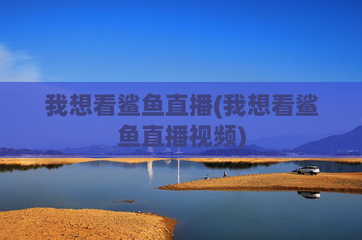 我想看鲨鱼直播(我想看鲨鱼直播视频)