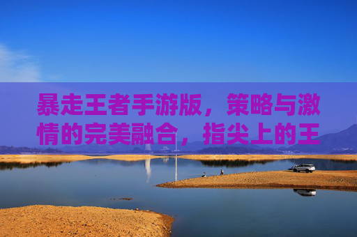 暴走王者手游版，策略与激情的完美融合，指尖上的王者争霸新体验