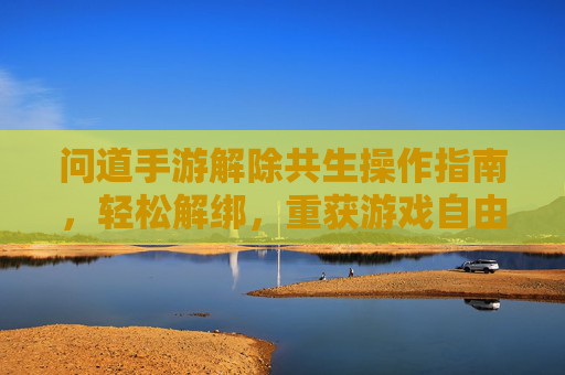 问道手游解除共生操作指南,轻松解绑,重获游戏自由体验