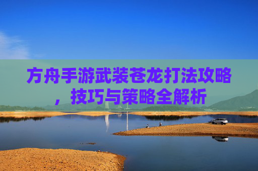 方舟手游武装苍龙打法攻略,技巧与策略全解析
