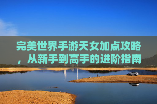 完美世界手游天女加点攻略,从新手到高手的进阶指南