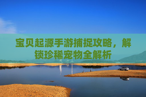 宝贝起源手游捕捉攻略,解锁珍稀宠物全解析