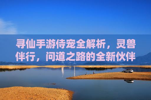 寻仙手游侍宠全解析,灵兽伴行,问道之路的全新伙伴