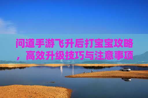 问道手游飞升后打宝宝攻略,高效升级技巧与注意事项