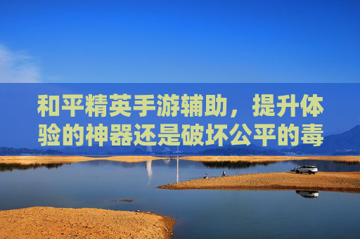 和平精英手游辅助,提升体验的神器还是破坏公平的毒药?——解析游戏辅助的利与弊