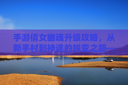 手游倩女幽魂升级攻略,从新手村到神途的蜕变之路——策略与资源高效利用指南