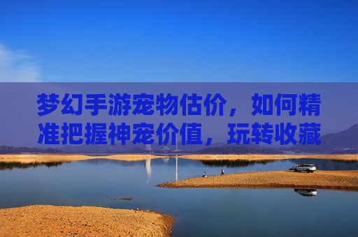 梦幻手游宠物估价，如何精准把握神宠价值，玩转收藏与交易