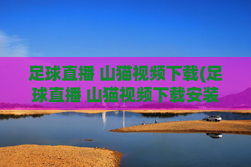 足球直播 山猫视频下载(足球直播 山猫视频下载安装)