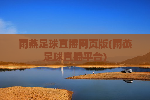 雨燕足球直播网页版(雨燕足球直播平台)