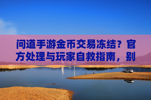 问道手游金币交易冻结？官方处理与玩家自救指南，别让冻结影响游戏体验，问道手游金币交易冻结？官方处理与玩家自救指南，别让冻结影响游戏体验