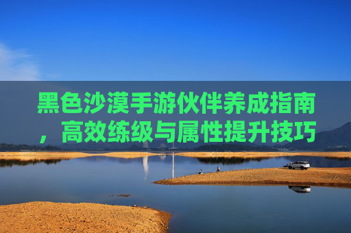 黑色沙漠手游伙伴养成指南，高效练级与属性提升技巧