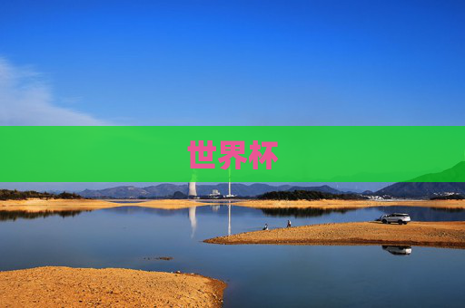 世界杯