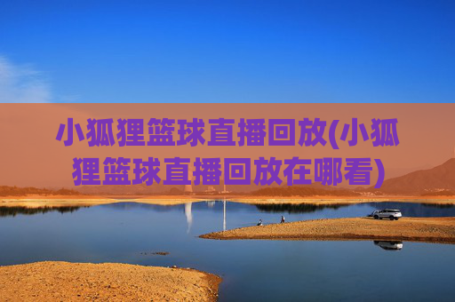 小狐狸篮球直播回放(小狐狸篮球直播回放在哪看)