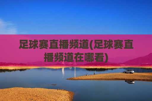 足球赛直播频道(足球赛直播频道在哪看)