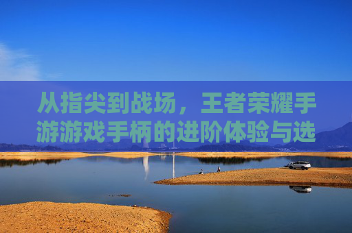 从指尖到战场，王者荣耀手游游戏手柄的进阶体验与选择指南，从指尖到战场，王者荣耀手游游戏手柄进阶体验与选择指南