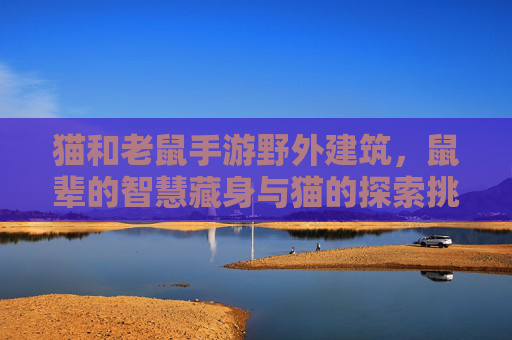 猫和老鼠手游野外建筑,鼠辈的智慧藏身与猫的探索挑战,猫和老鼠手游野外建筑,鼠辈的智慧藏身与猫的探索挑战
