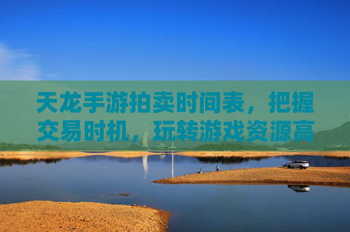 天龙手游拍卖时间表，把握交易时机，玩转游戏资源高效变现，天龙手游拍卖时间表，把握交易时机，玩转游戏资源高效变现