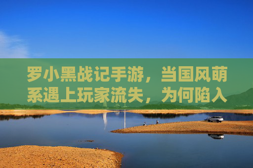 罗小黑战记手游,当国风萌系遇上玩家流失,为何陷入没人玩的困境?罗小黑战记手游,国风萌系遭遇玩家流失,为何陷入没人玩的困境?