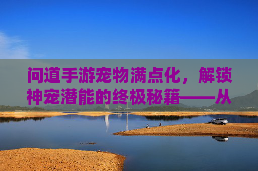 问道手游宠物满点化，解锁神宠潜能的终极秘籍——从新手到高手的进阶之路，问道手游宠物满点化，解锁神宠潜能的终极秘籍——从新手到高手的进阶之路