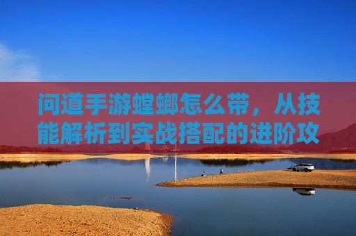 问道手游螳螂怎么带，从技能解析到实战搭配的进阶攻略，问道手游螳螂带法，技能解析与实战搭配进阶攻略