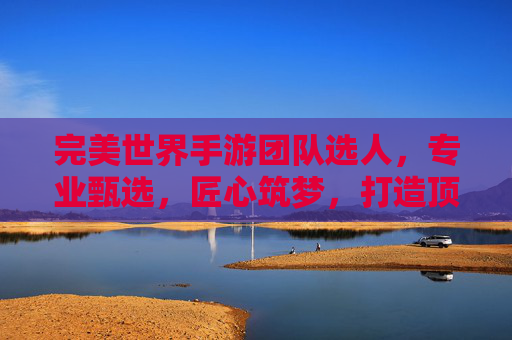 完美世界手游团队选人,专业甄选,匠心筑梦,打造顶级游戏开发团队,完美世界手游团队,专业甄选,匠心筑梦,打造顶级游戏开发团队