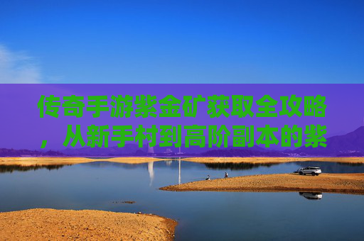 传奇手游紫金矿获取全攻略,从新手村到高阶副本的紫金矿分布与高效采集方法,传奇手游紫金矿获取全攻略,从新手村到高阶副本的分布与高效采集方法