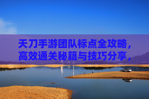天刀手游团队标点全攻略,高效通关秘籍与技巧分享,天刀手游团队标点全攻略,高效通关秘籍与技巧分享