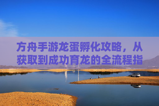 方舟手游龙蛋孵化攻略，从获取到成功育龙的全流程指南，方舟手游龙蛋孵化攻略，从获取到成功育龙的全流程指南