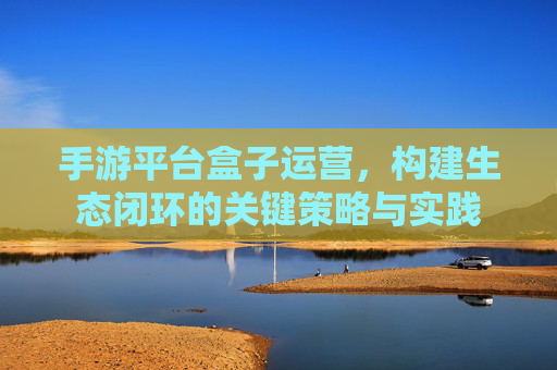手游平台盒子运营,构建生态闭环的关键策略与实践