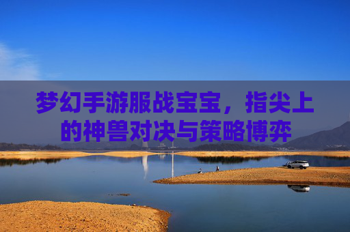 梦幻手游服战宝宝，指尖上的神兽对决与策略博弈