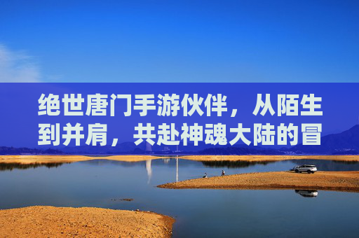 绝世唐门手游伙伴，从陌生到并肩，共赴神魂大陆的冒险之旅，绝世唐门手游，伙伴并肩，共赴神魂大陆的冒险之旅