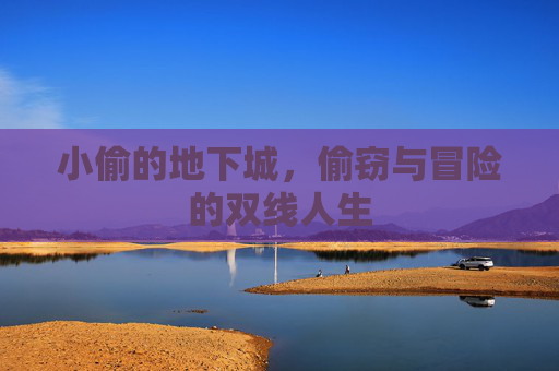 小偷的地下城,偷窃与冒险的双线人生