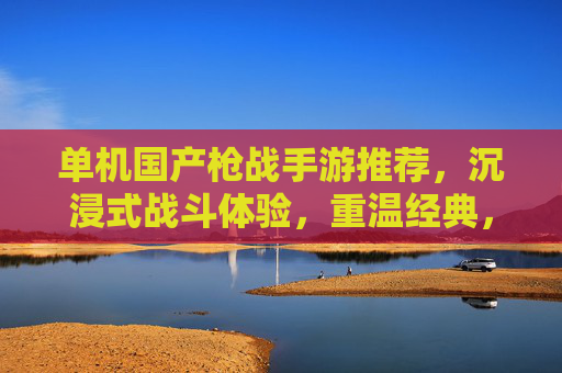单机国产枪战手游推荐,沉浸式战斗体验,重温经典,畅享极致枪战乐趣